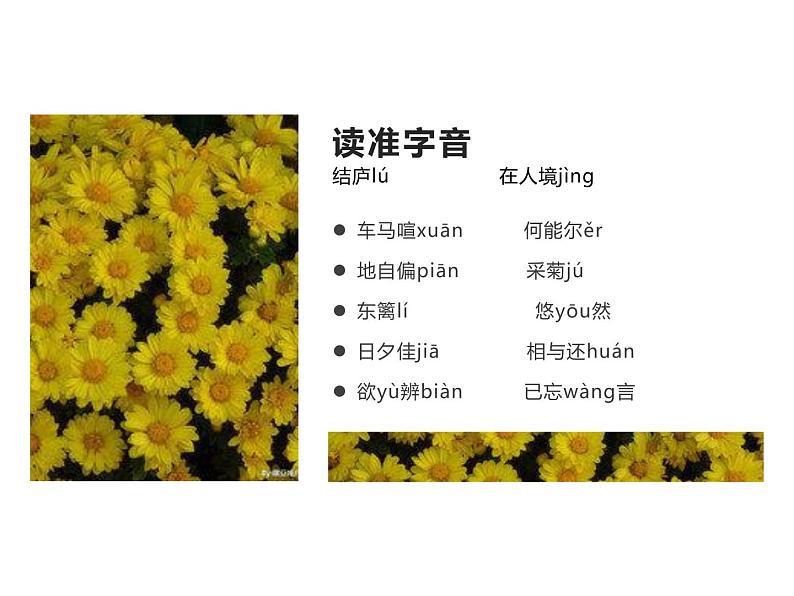 人教部编版八年级语文上册25《诗词五首》之《饮酒》课件（共28张ppt）04
