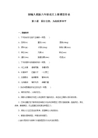 语文八年级上册 5 国行公祭，为佑世界和平优秀随堂练习题