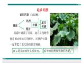 第一单元 写作 热爱生活，热爱写作 教学课件