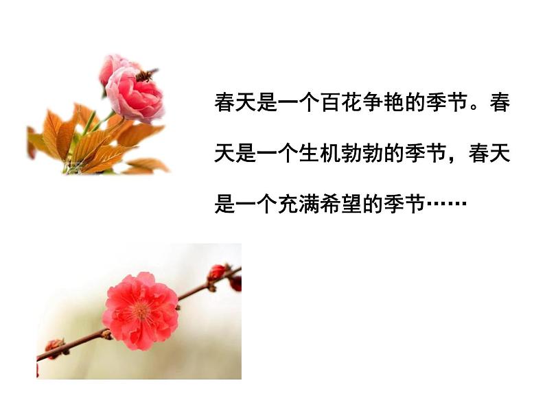 第一单元 第一课 1 春 教学课件第5页