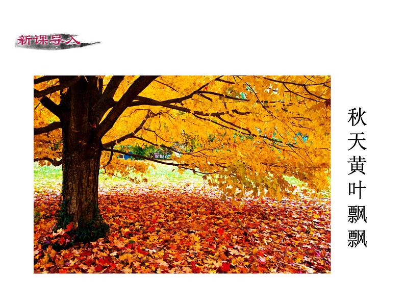第二单元 第五课 5 秋天的怀念 教学课件第3页