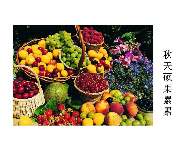 第二单元 第五课 5 秋天的怀念 教学课件第4页