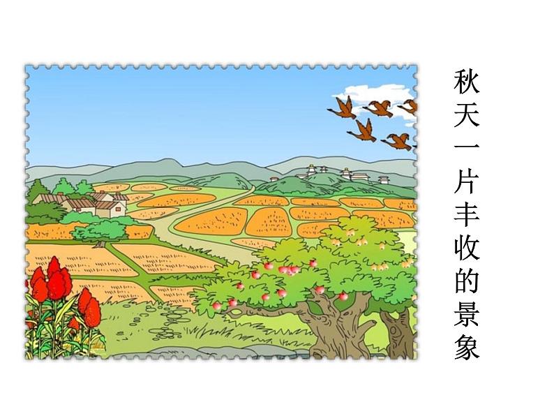 第二单元 第五课 5 秋天的怀念 教学课件第5页