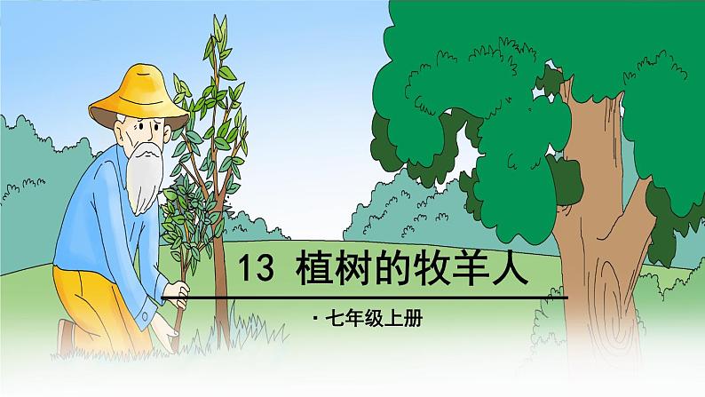 13《植树的牧羊》PPT课件01