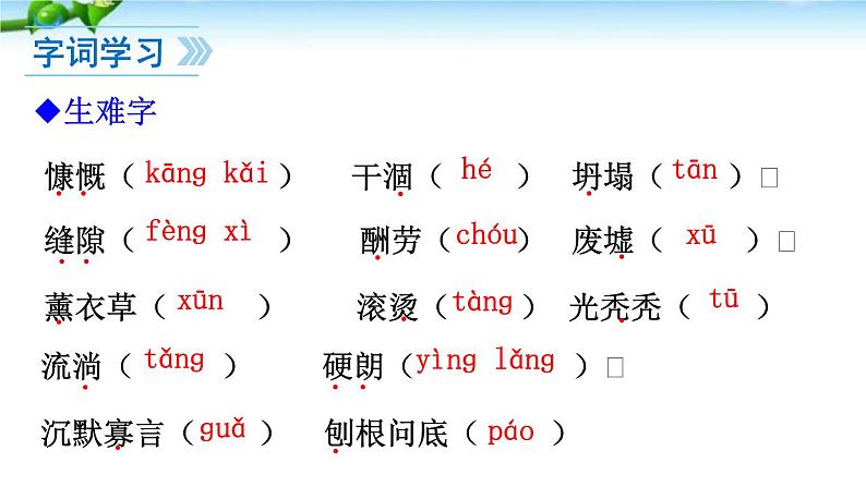13《植树的牧羊》PPT课件03