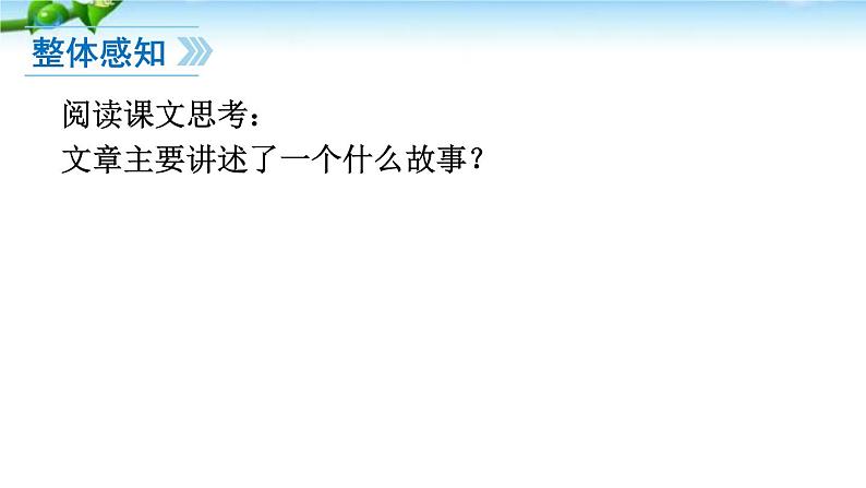 13《植树的牧羊》PPT课件05