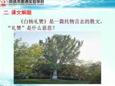 《白杨礼赞》（修改课件）
