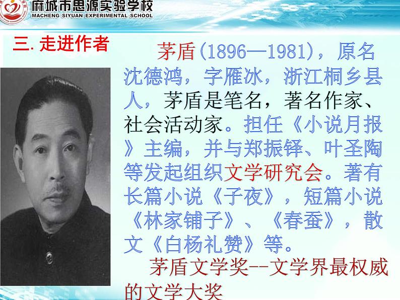 《白杨礼赞》（修改课件）06