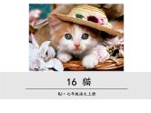 第五单元 第十六课 16 猫 教学课件