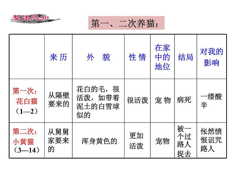 第五单元 第十六课 16 猫 教学课件06