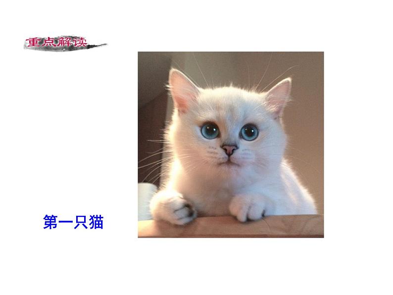 第五单元 第十六课 16 猫 教学课件08