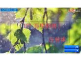 17.《昆明的雨》ppt课件+音频素材