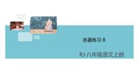 人教部编版八年级上册名著导读 《昆虫记》：科普作品的阅读精品习题课件ppt