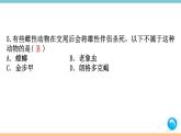 第五单元：名著练习8 习题课件（含答案）_部编八上