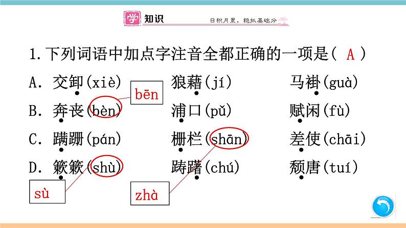 第四单元：14 背影 习题课件（含答案）_部编八上02