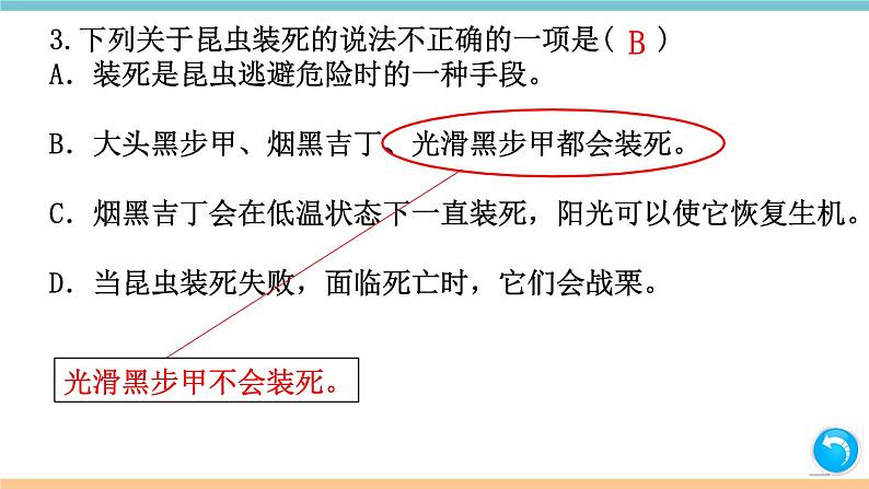 第四单元：名著练习5 习题课件（含答案）_部编八上05