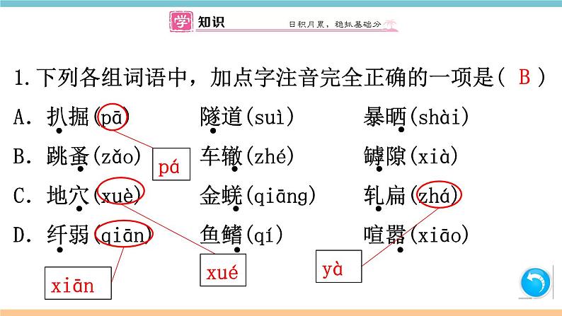 第五单元：20 蝉 习题课件（含答案）_部编八上02