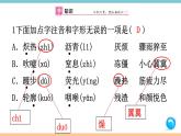 第二单元：9 美丽的颜色 习题课件（含答案）_部编八上