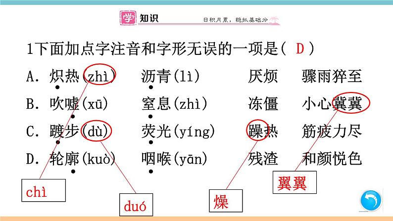 第二单元：9 美丽的颜色 习题课件（含答案）_部编八上第2页