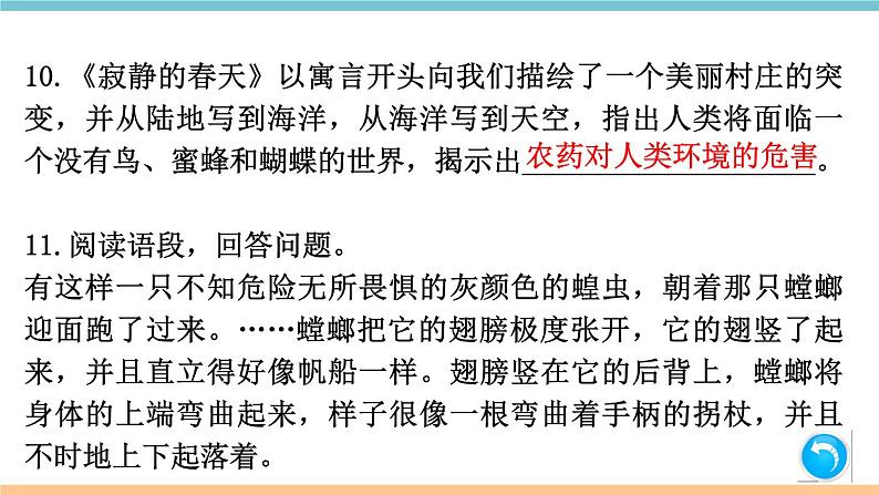 第五单元：名著练习7 习题课件（含答案）_部编八上06