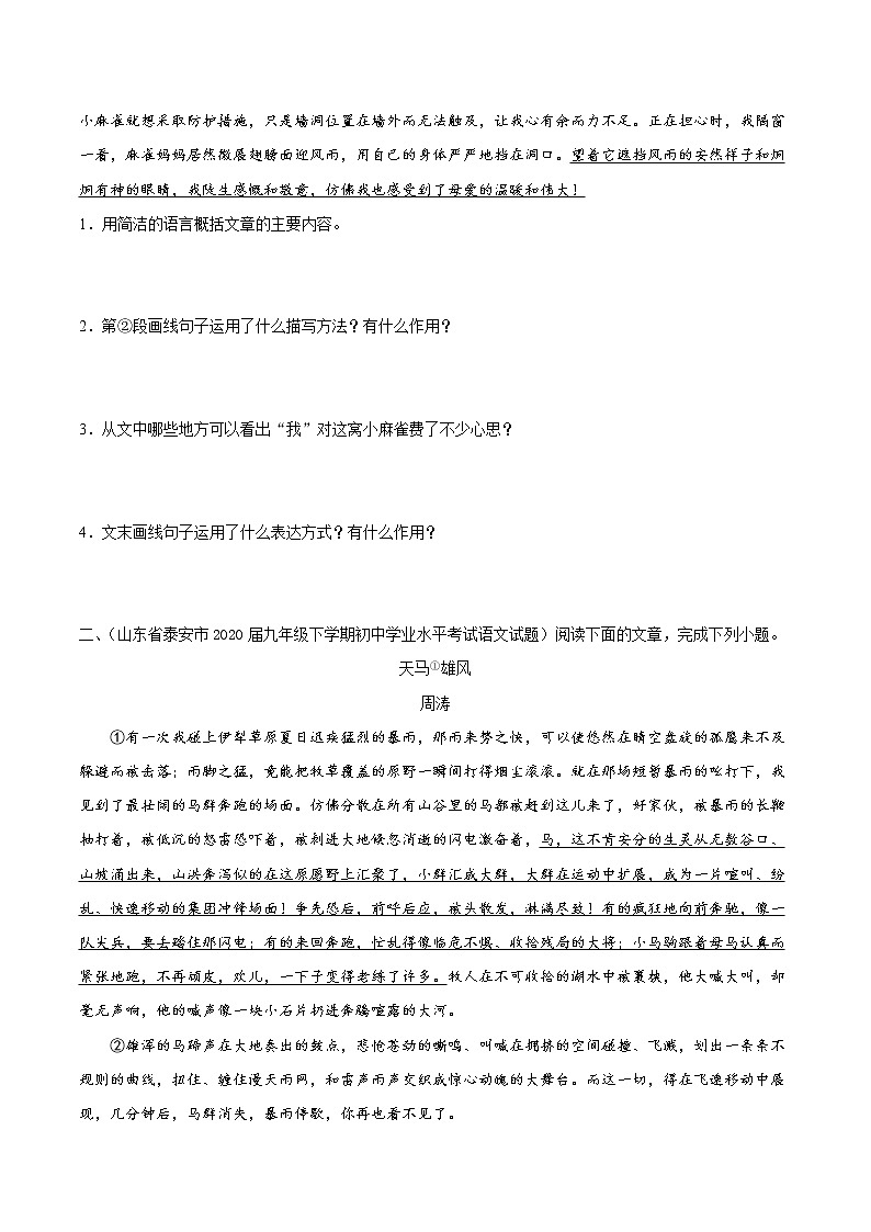 人教版七年级上语文培优训练考点6记叙文阅读02