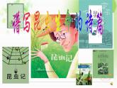 部编版八年级上册语文第五单元名著导读《昆虫记》课件（共28张ppt）