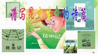 人教部编版八年级上册名著导读 《昆虫记》：科普作品的阅读评课课件ppt