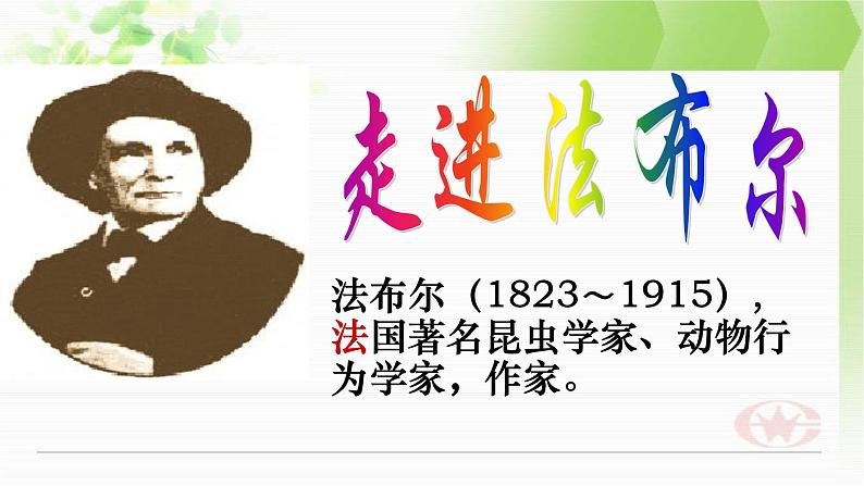 部编版八年级上册语文第五单元名著导读《昆虫记》课件（共28张ppt）02