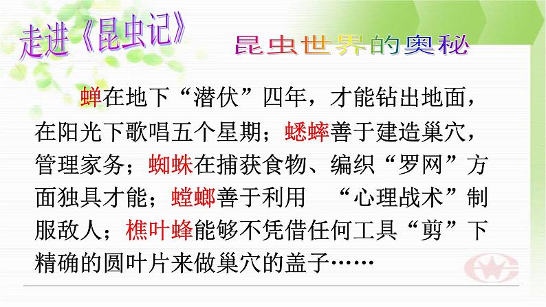 部编版八年级上册语文第五单元名著导读《昆虫记》课件（共28张ppt）08