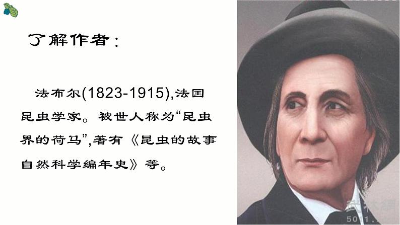 第五单元名著导读《昆虫记》课件-2020年秋部编版八年级语文上册08