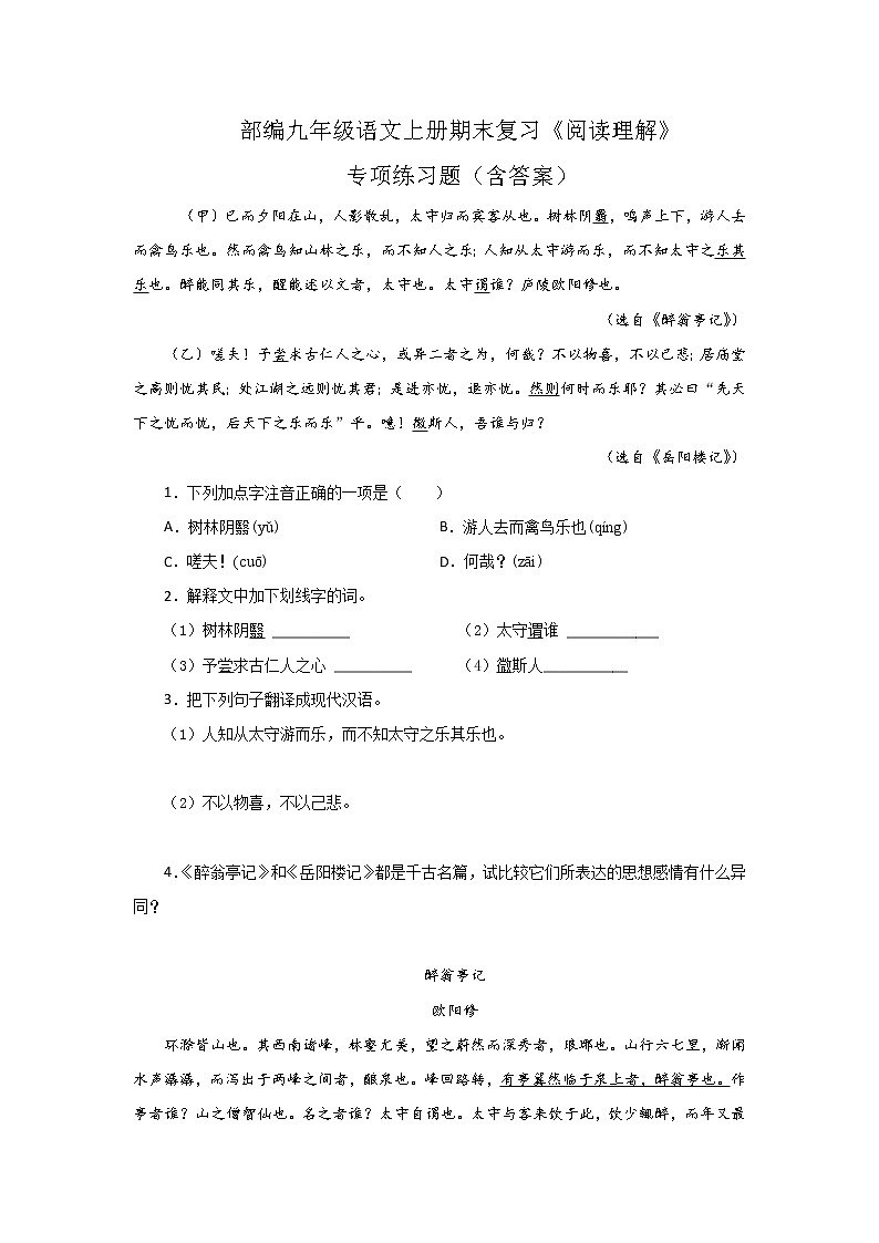 人教部编版九年级语文上册期末复习专项练习题：阅读理解201
