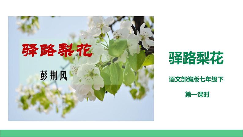 人教部编版七年级下册第14课《驿路梨花》课件（共60张PPT）第1页