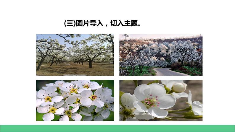 人教部编版七年级下册第14课《驿路梨花》课件（共60张PPT）第5页