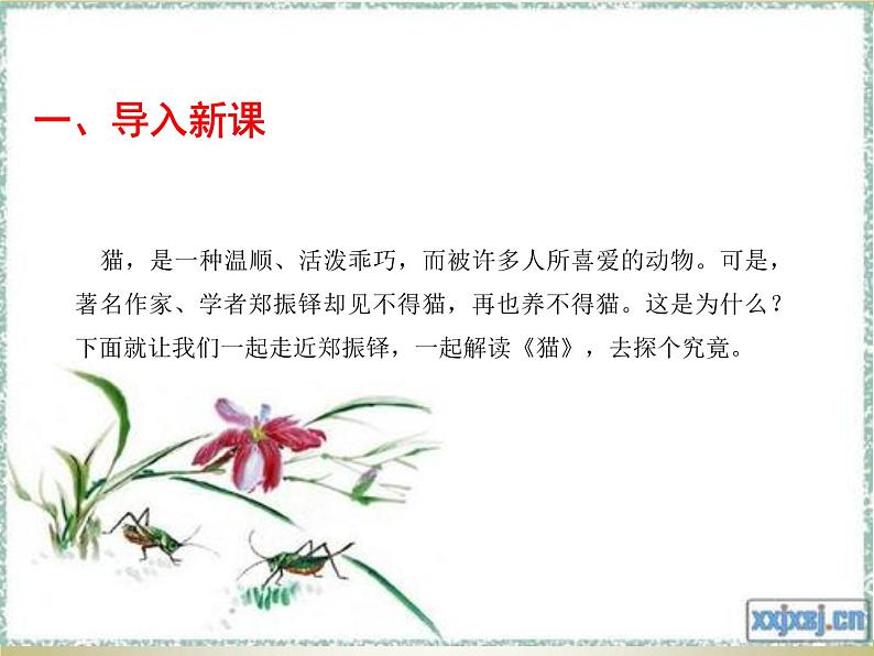 人教版七年级上册语文第五单元01 《猫》第一课时随堂课件第2页