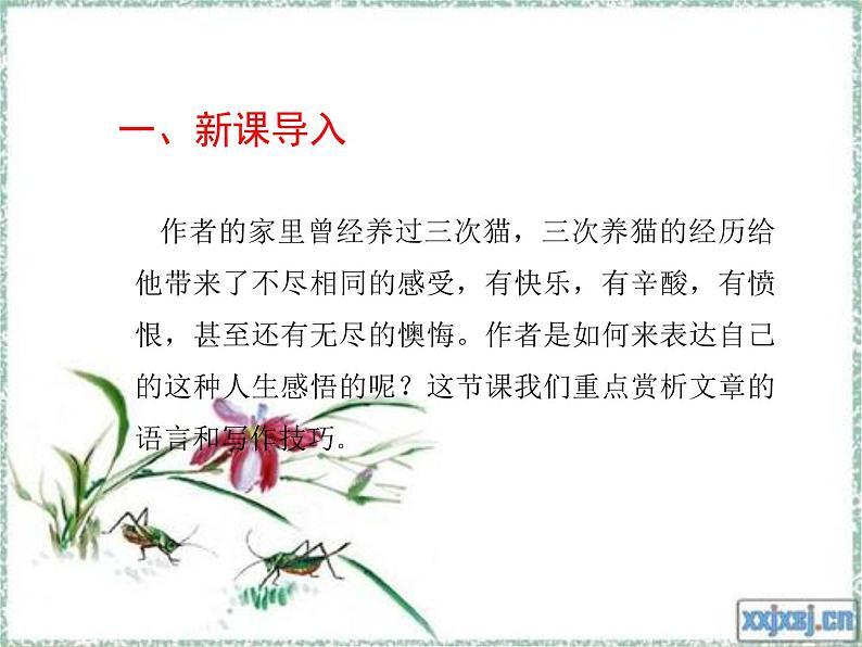 人教版七年级上册语文第五单元02 《猫》第二课时随堂精品课件02