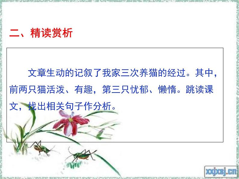 人教版七年级上册语文第五单元02 《猫》第二课时随堂精品课件03