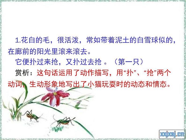 人教版七年级上册语文第五单元02 《猫》第二课时随堂精品课件04