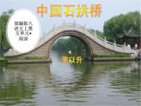 初中语文17 中国石拱桥课堂教学课件ppt