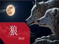 初中语文第五单元18 狼授课课件ppt