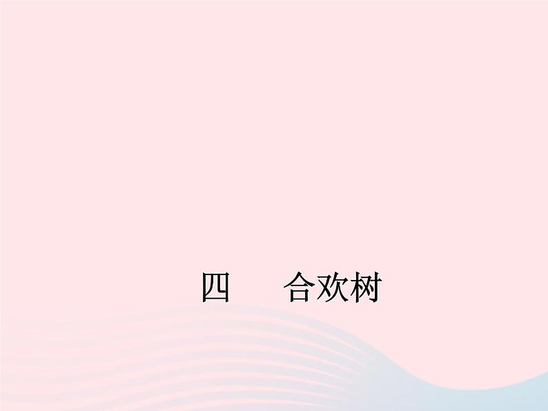 八年级下语文课件四   合欢树_语文版（2016）01