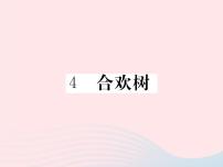 初中语文语文版 (2016)八年级下册（2017）4*合欢树习题课件ppt