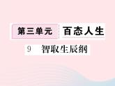 八年级下语文课件八年级语文下册第三单元9智取生辰纲习题课件语文版_语文版（2016）