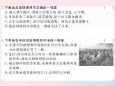 八年级下语文课件八年级语文下册第四单元16滑铁卢之战习题课件语文版_语文版（2016）