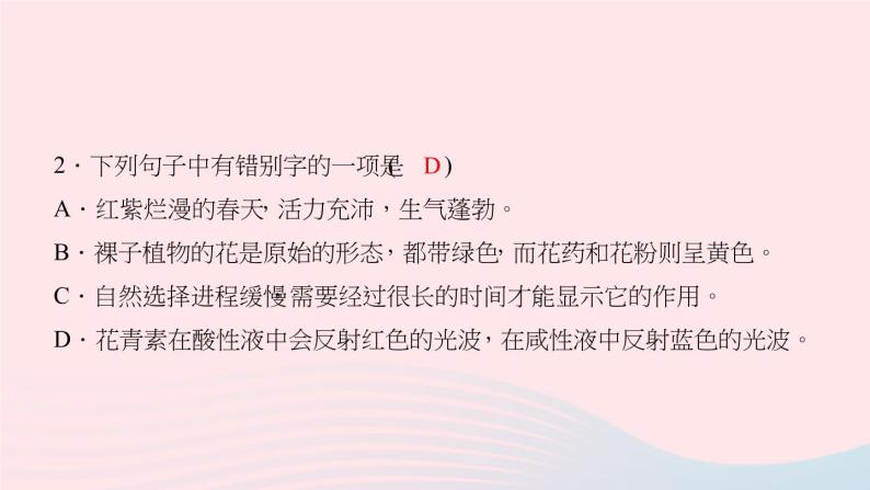 八年级语文上册第四单元14花儿为什么这样红习题课件语文版04