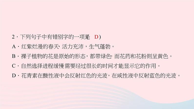 八年级语文上册第四单元14花儿为什么这样红习题课件语文版04