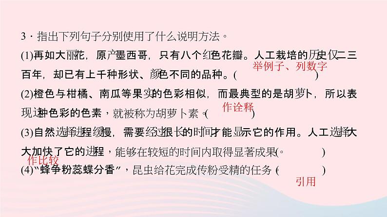 八年级语文上册第四单元14花儿为什么这样红习题课件语文版05