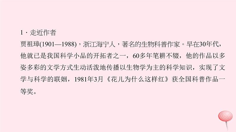 八年级语文上册第四单元14花儿为什么这么红习题课件语文版03