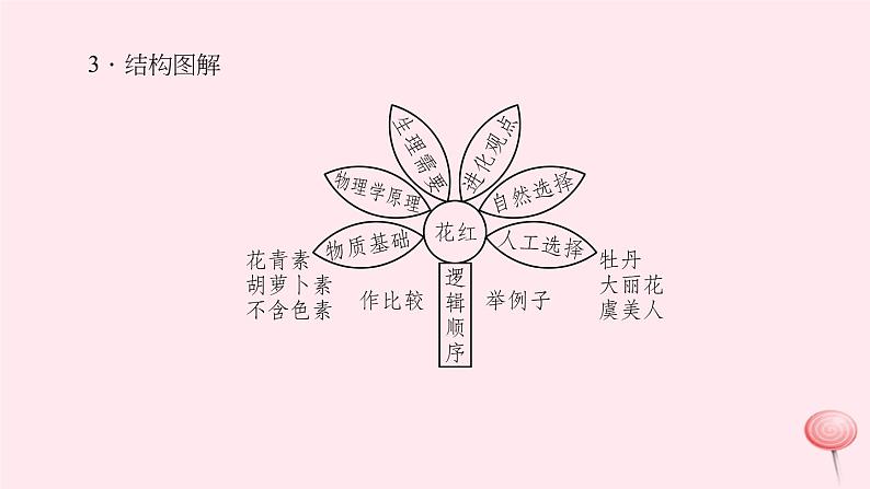 八年级语文上册第四单元14花儿为什么这么红习题课件语文版05