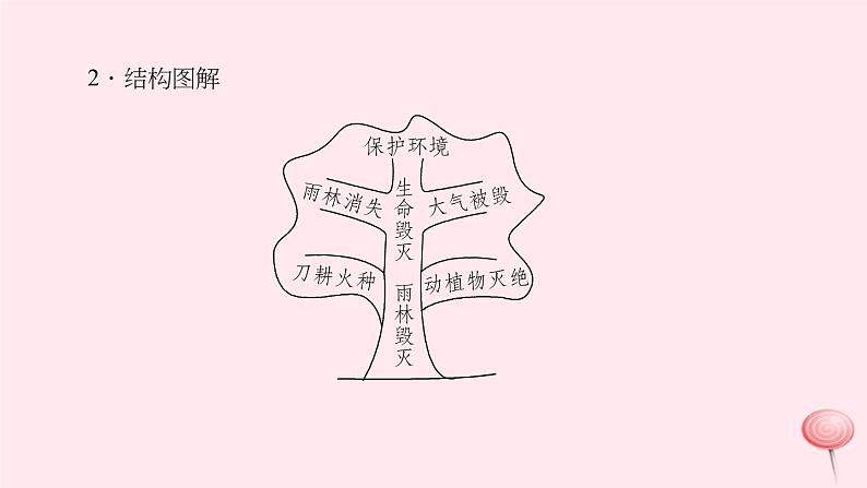 八年级语文上册第四单元15雨林的毁灭——世界性灾难习题课件语文版04