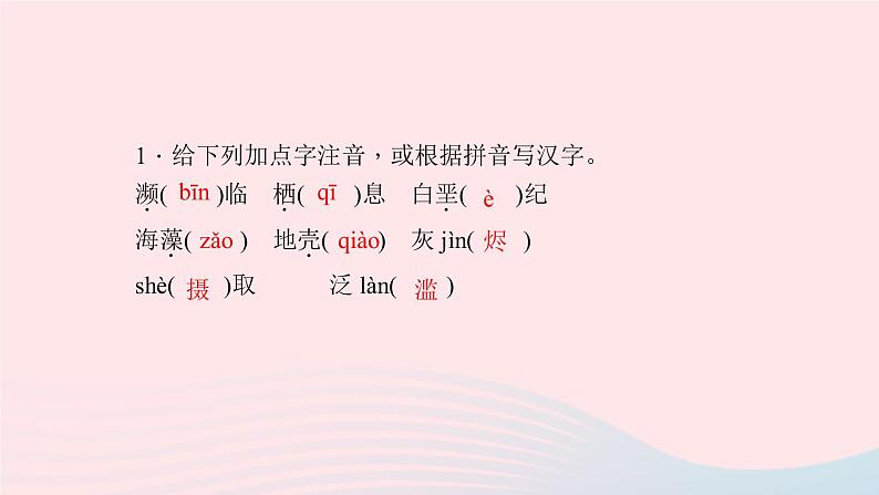 八年级语文上册第四单元15雨林的毁灭——世界性灾难习题课件语文版 (1)03